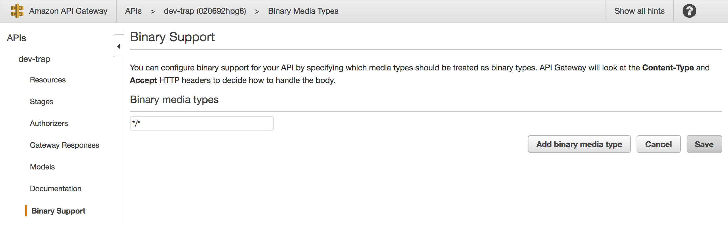 aws-apigw-binarysupport.png