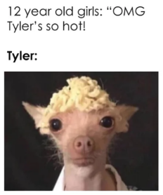 tyler.png