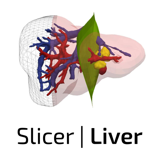 SlicerLiver.png