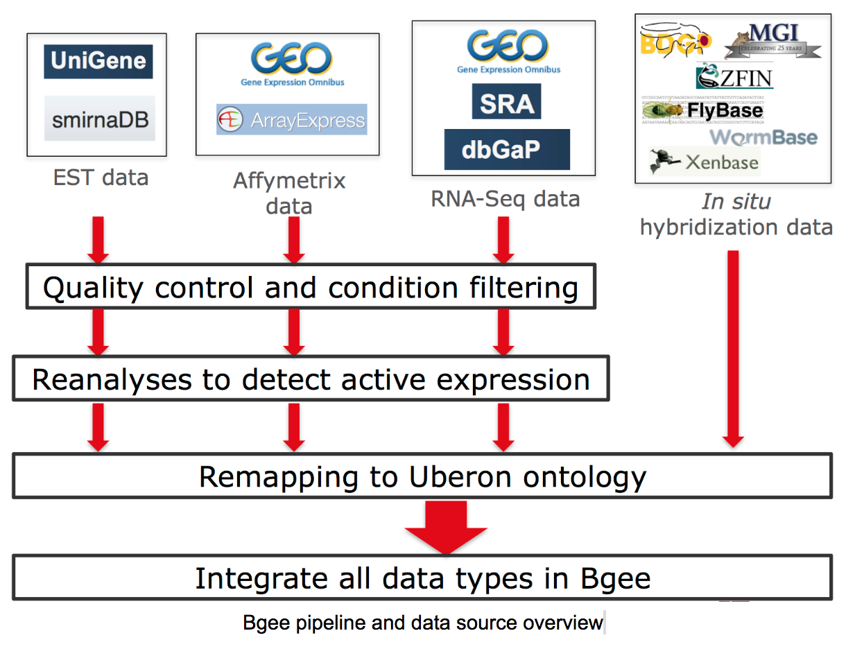 pipeline_overview.png