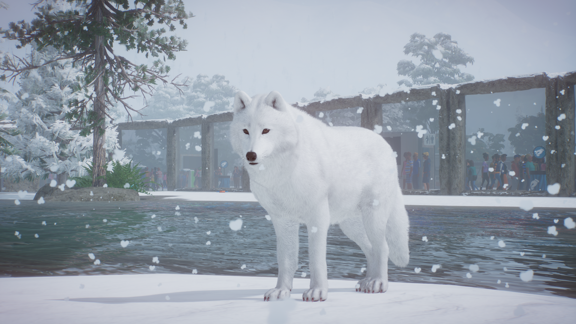 Female Whiter Arctic Wolf.png