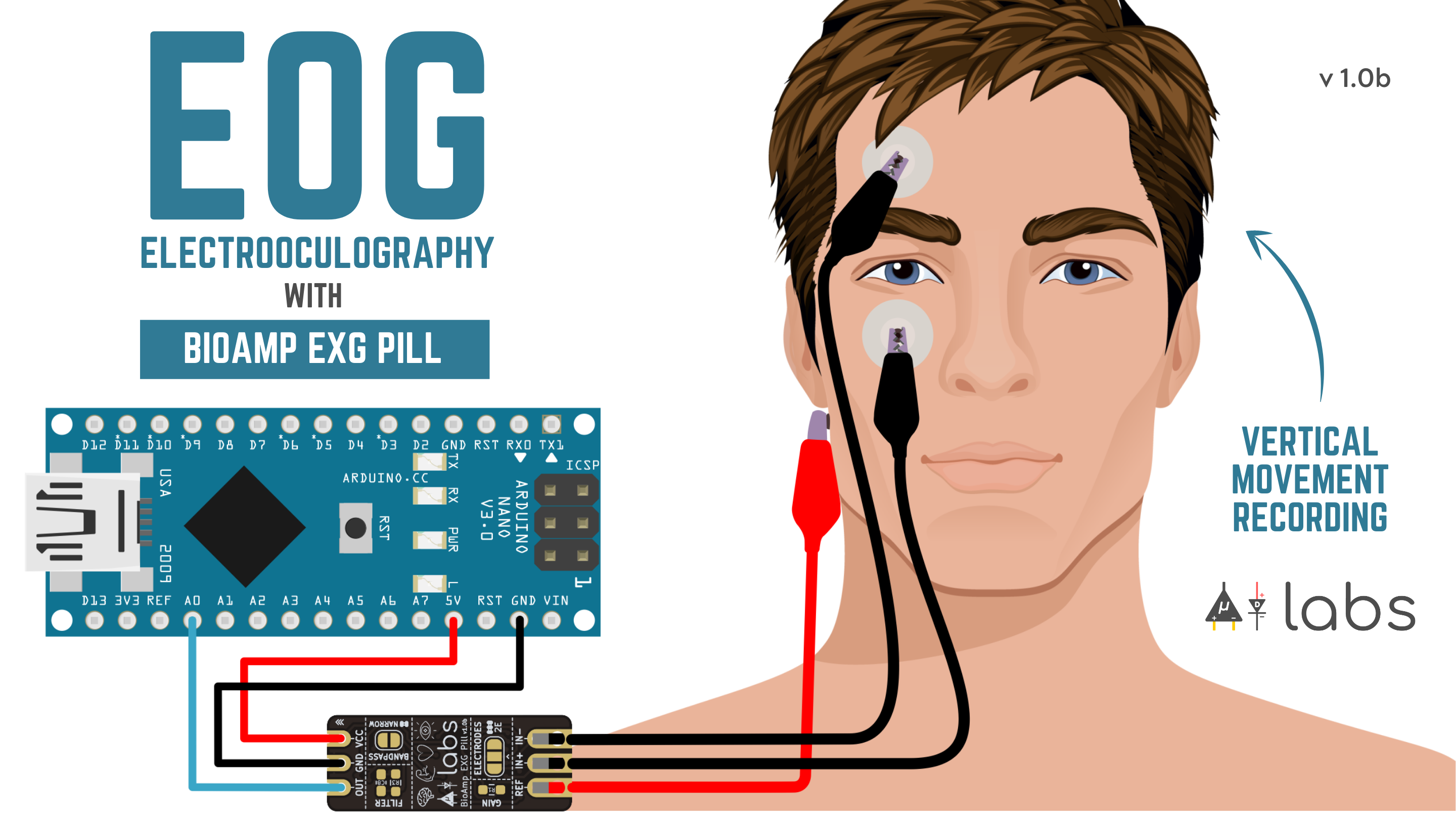 Electrooculography-Vertical.png