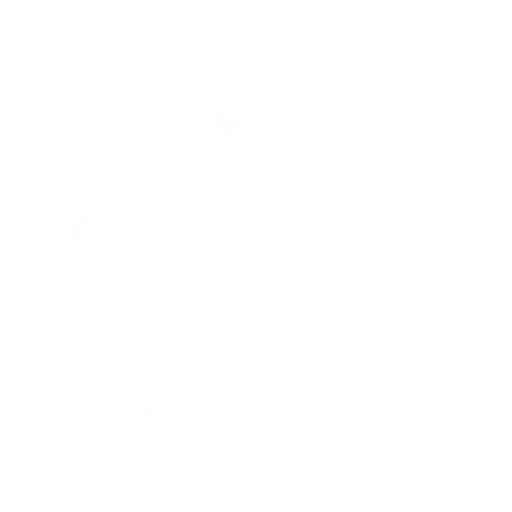 spotify_icon.png