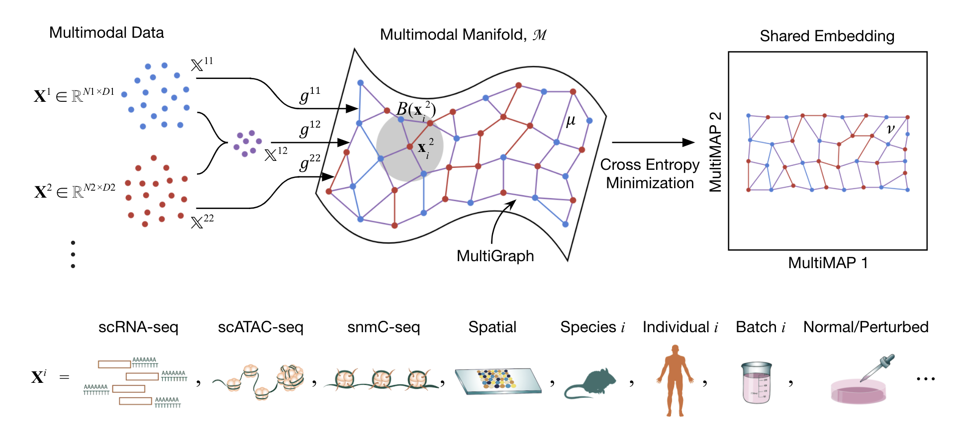 MultiMAP_schematic.png