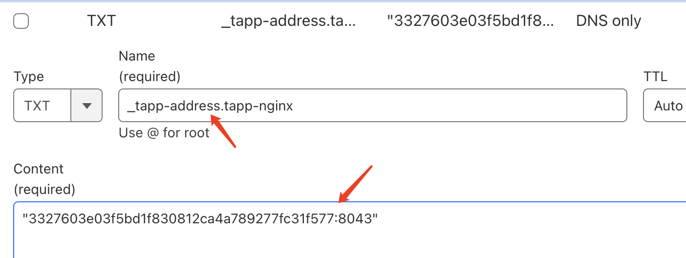 tapp-dns-txt.png