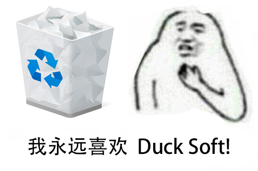 DuckSoft.png