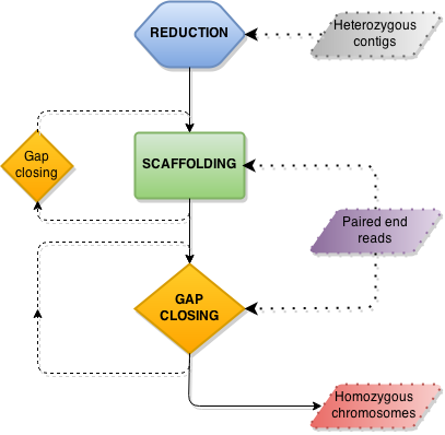 redundans_flowchart.png