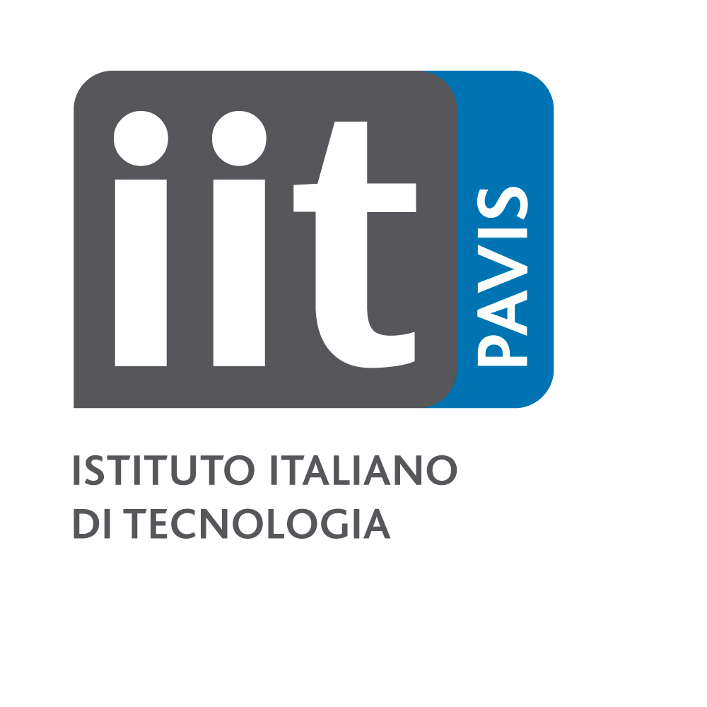 iit-pavis.png