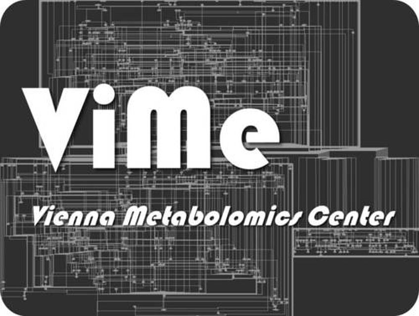 Vime_logo.png