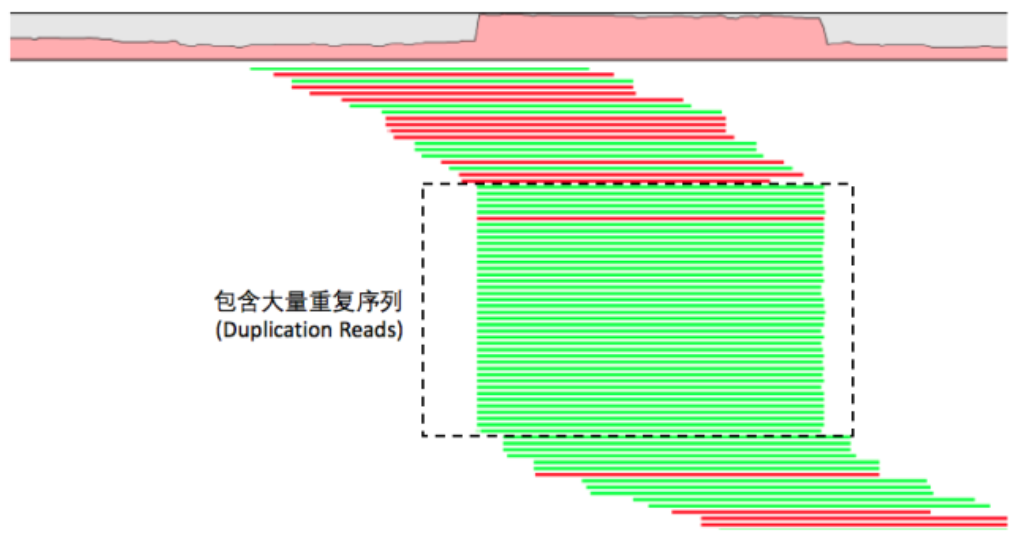 GATK4-pipeline-remove-duplicates-1.png