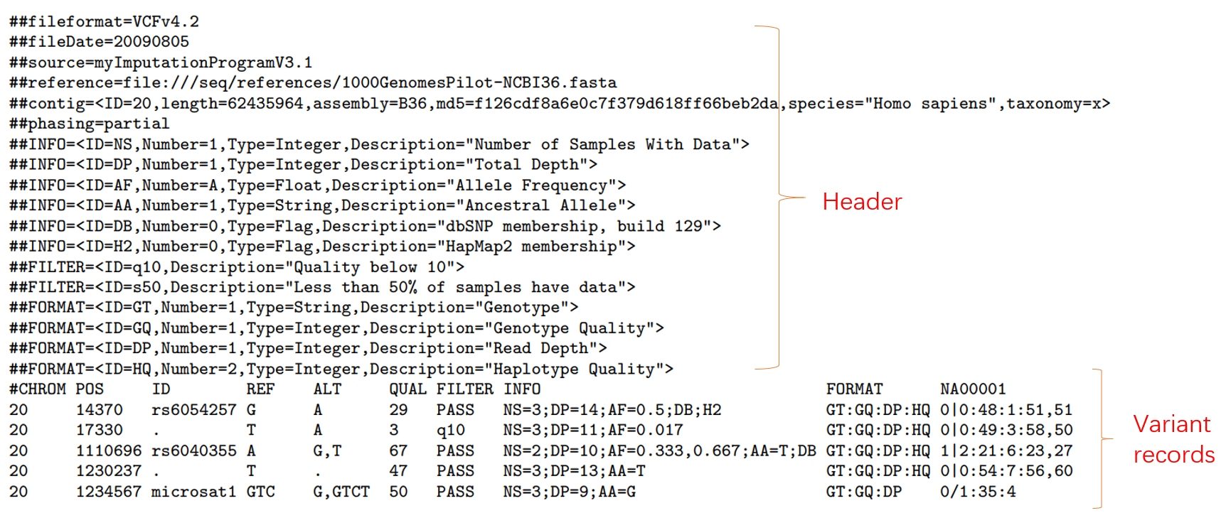 VCF-format-1.png