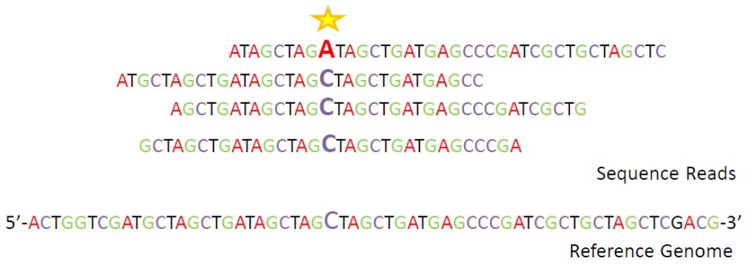 snp-calling-mathmatical-theory-individual-site-3.png