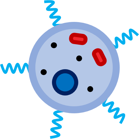 CellLogo.png