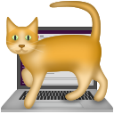 cat-on-keyboard.png