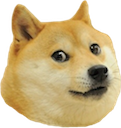 doge.png