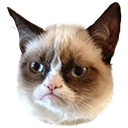 grumpy-cat.png