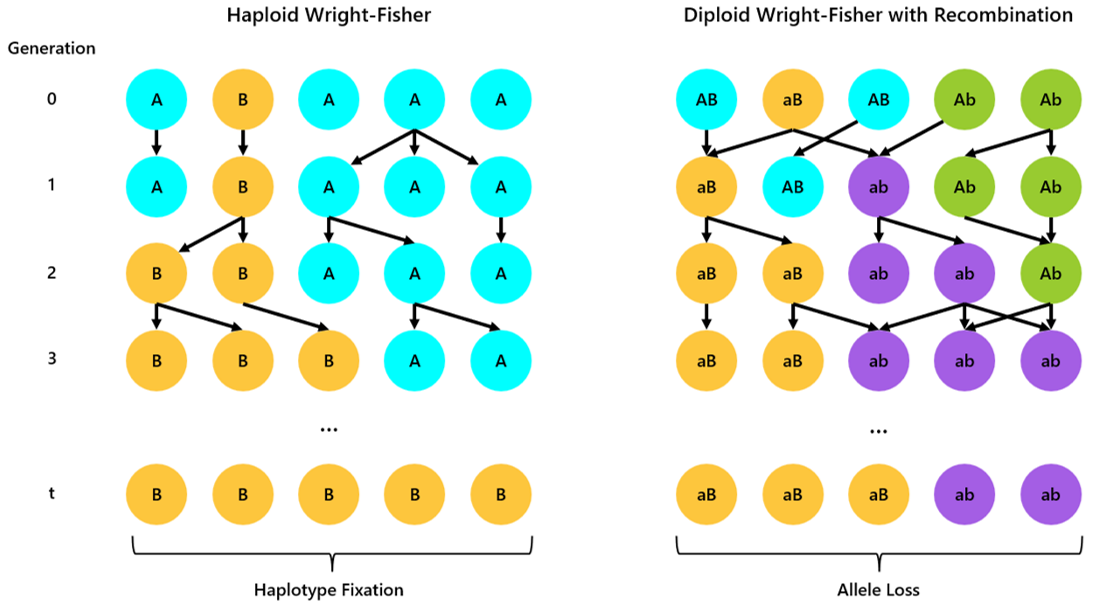 Population-Diagrams.png