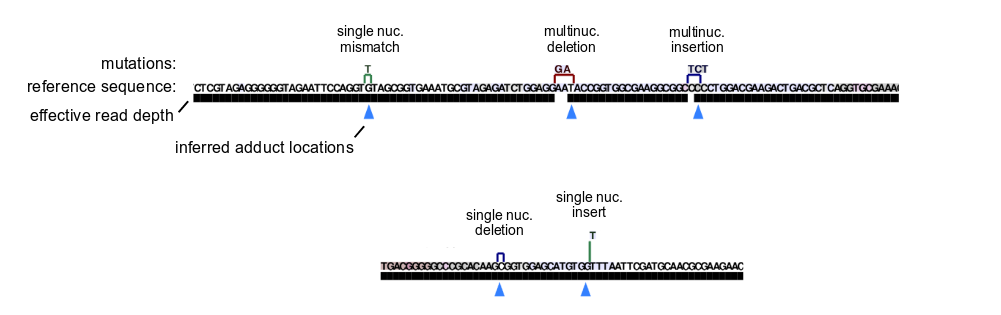 adduct_inference1.png