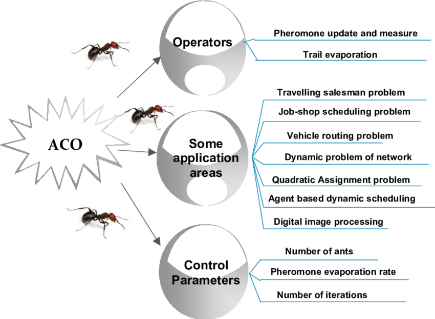 Ant-Colony-Optimization-ACO-algorithm.png