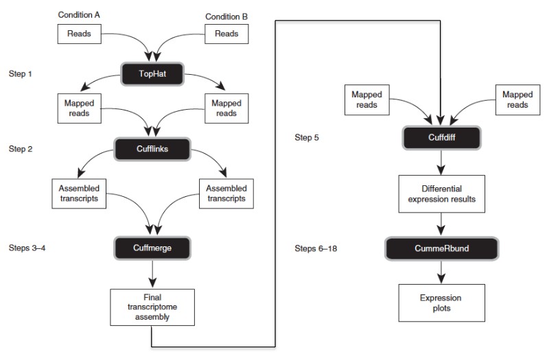 tophat-cufflinks-workflow-snake-w-inputs.jpg