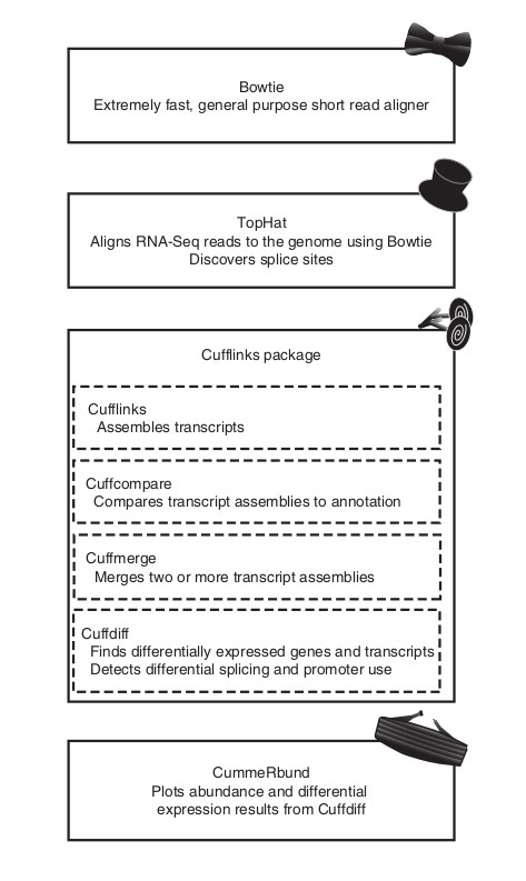 tophat-cufflinks-workflow.jpg