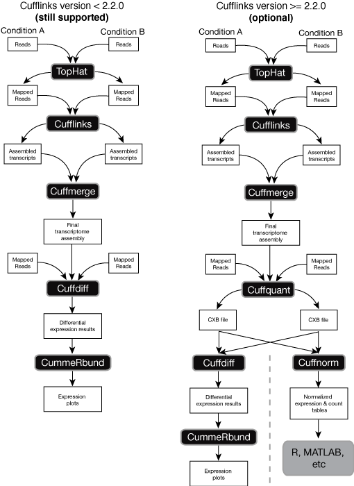 tuxedo-enhanced-workflow.png