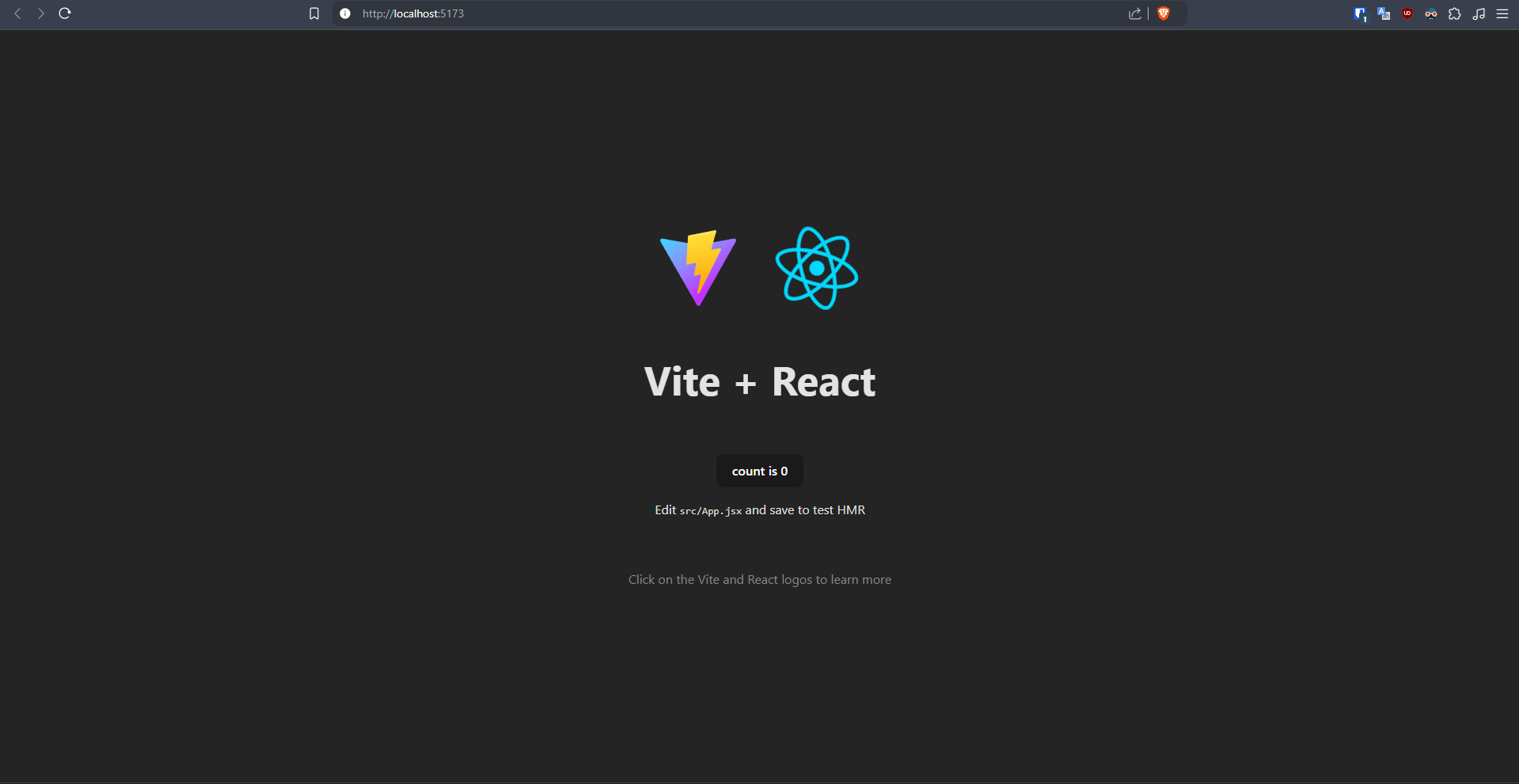 vite-project-interface.png