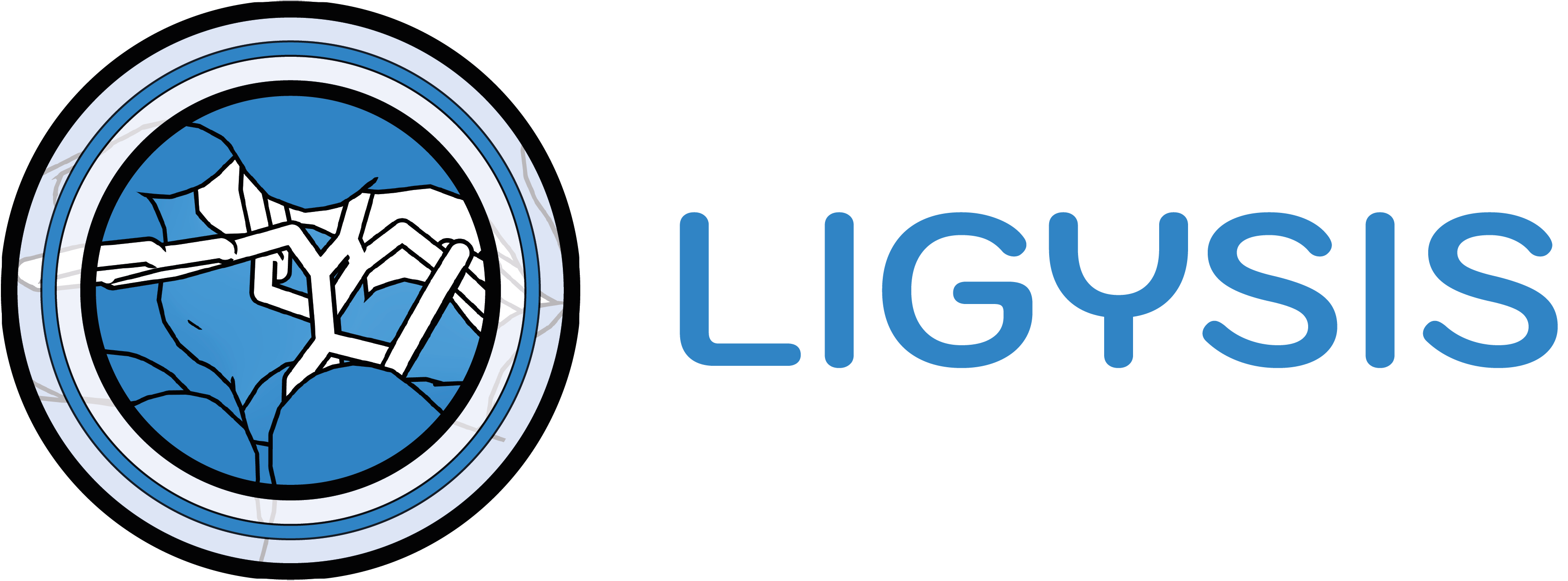 LIGYSIS_LOGO_REVAMP6_w_name.png