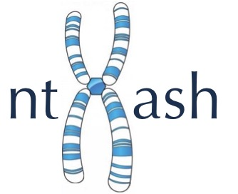 nthash-logo.png