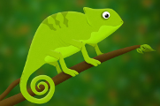 chameleon.png