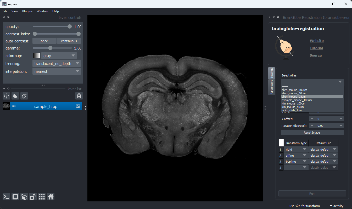 brainglobe_registration_atlas_selection.png