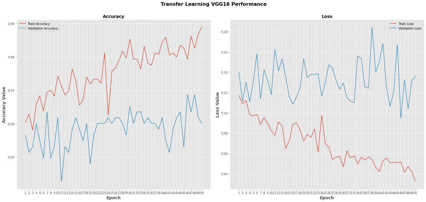 Accuracy curve_TL.png