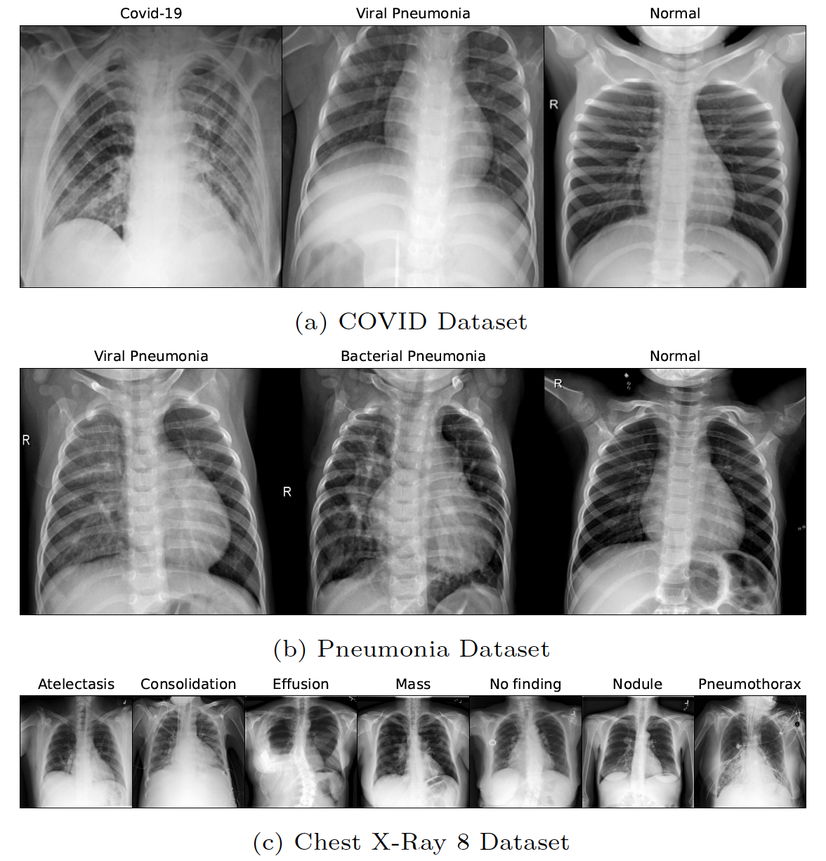 sample-dataset.png