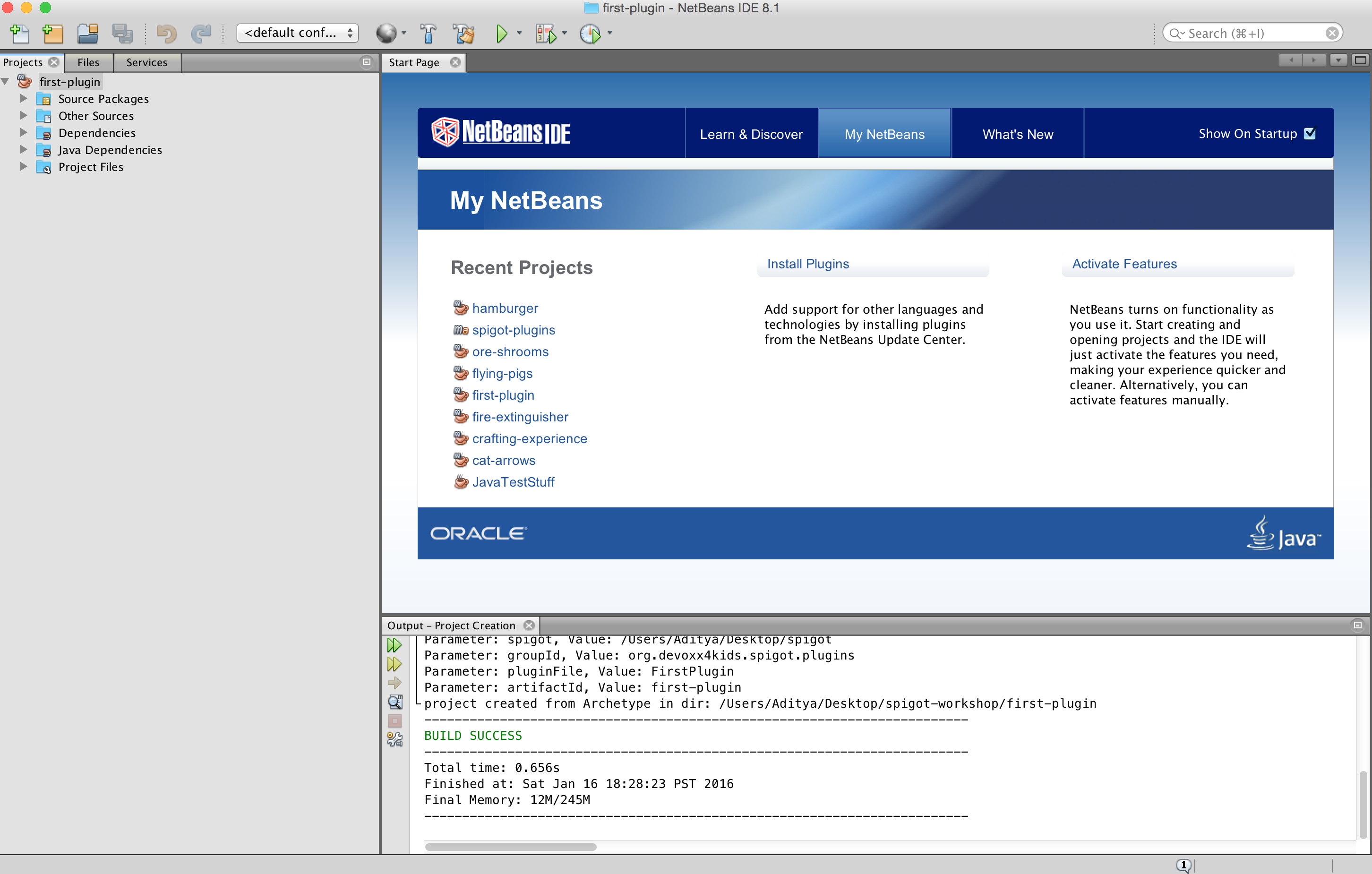 netbeans-project-created.png