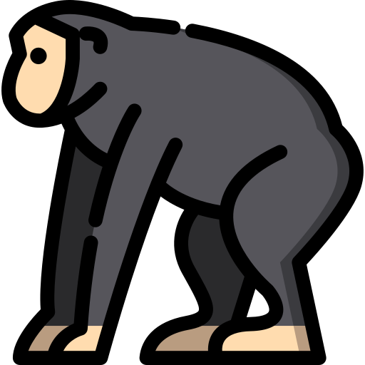 chimp.png