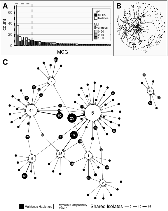 subgraphs-1.png