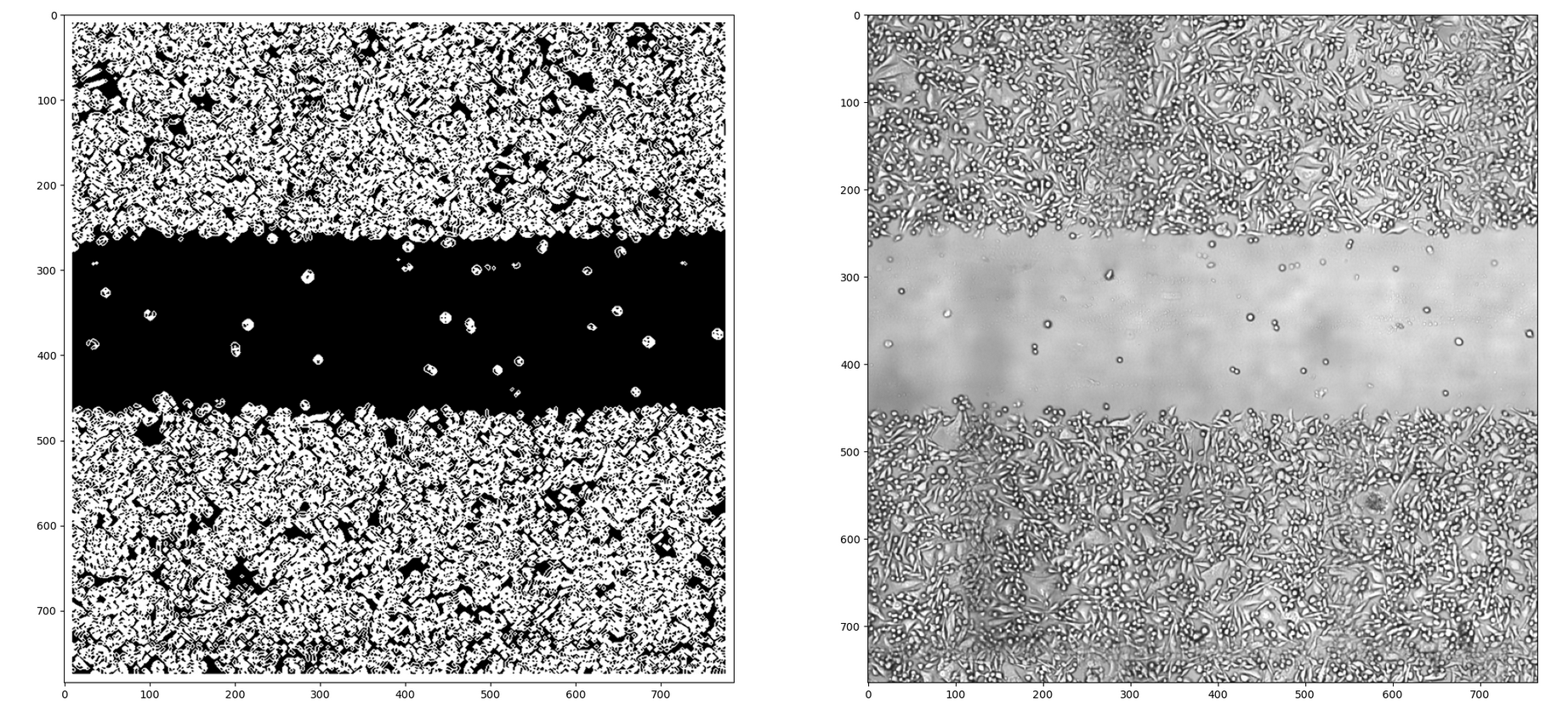 segmentation_example.png