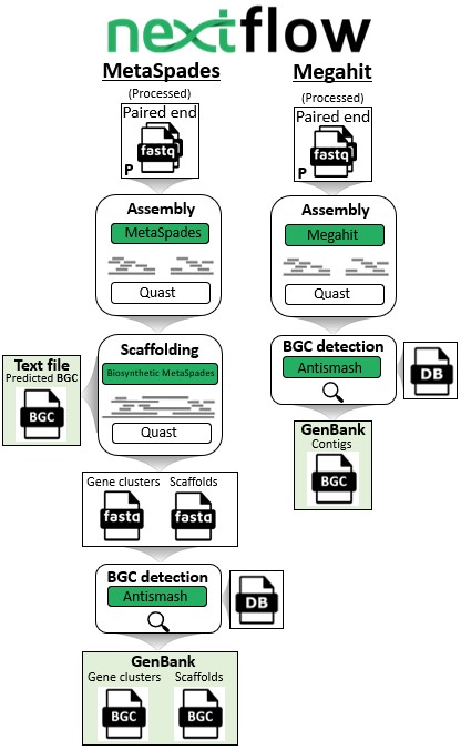 pipeline_genbank.jpg