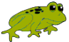 frog.png