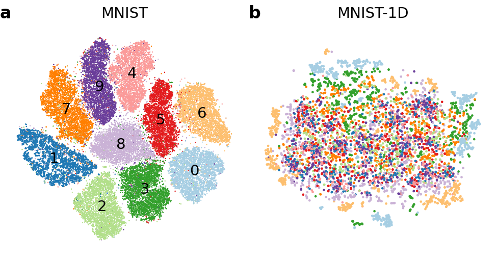 tsne.png