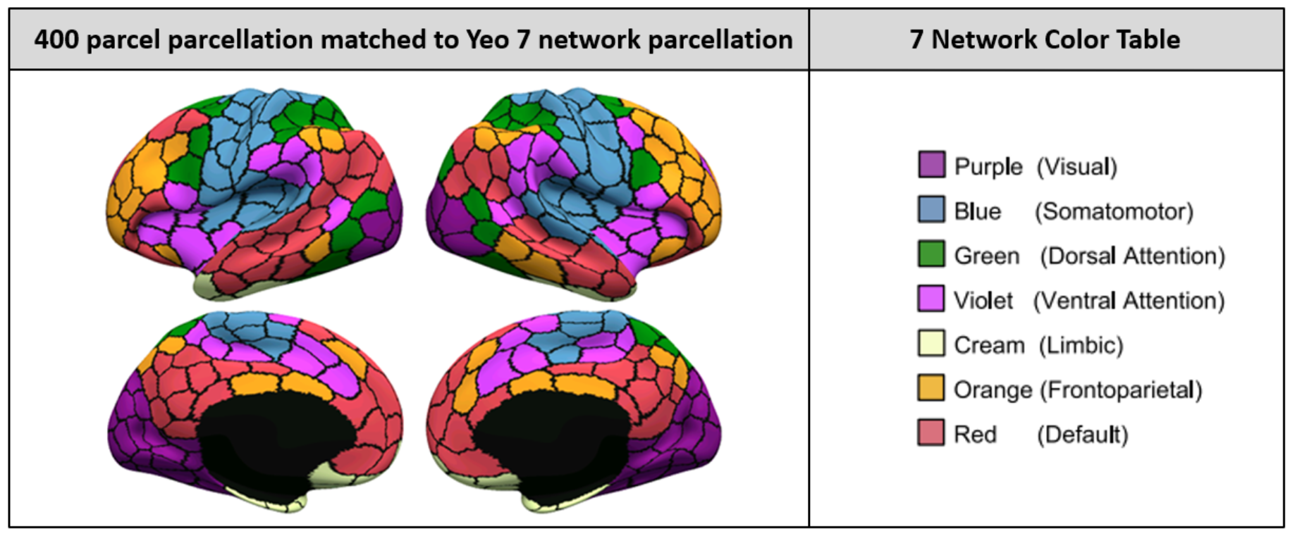 yeo_parcellation.PNG