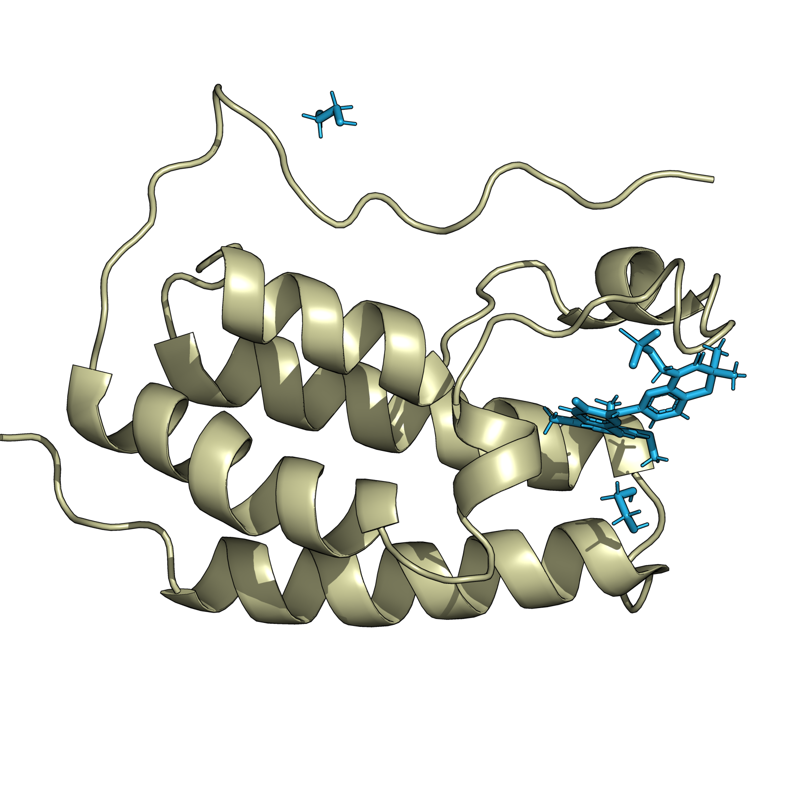 pdb2png_colab.png