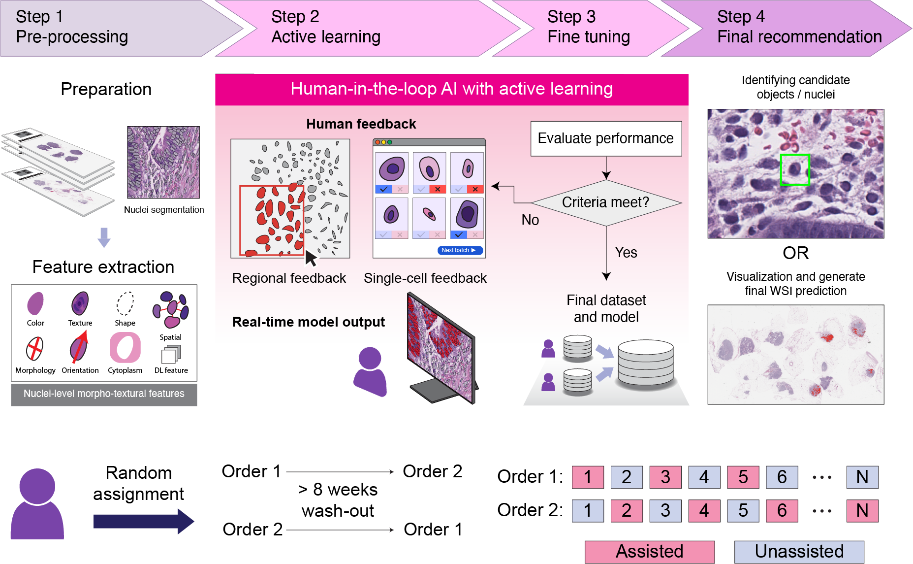 nuclei_reader_study.png