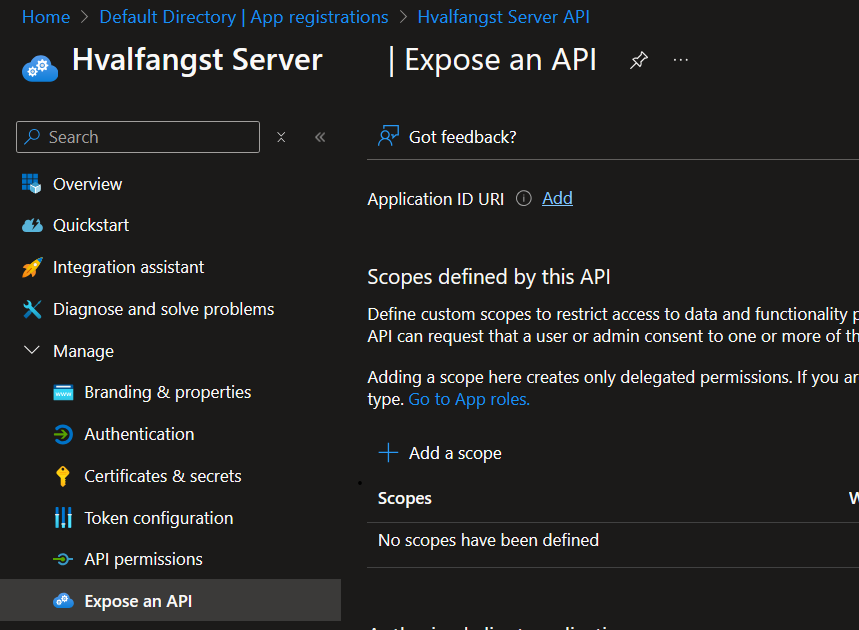 hvalfangst_server_api_expose_api.png