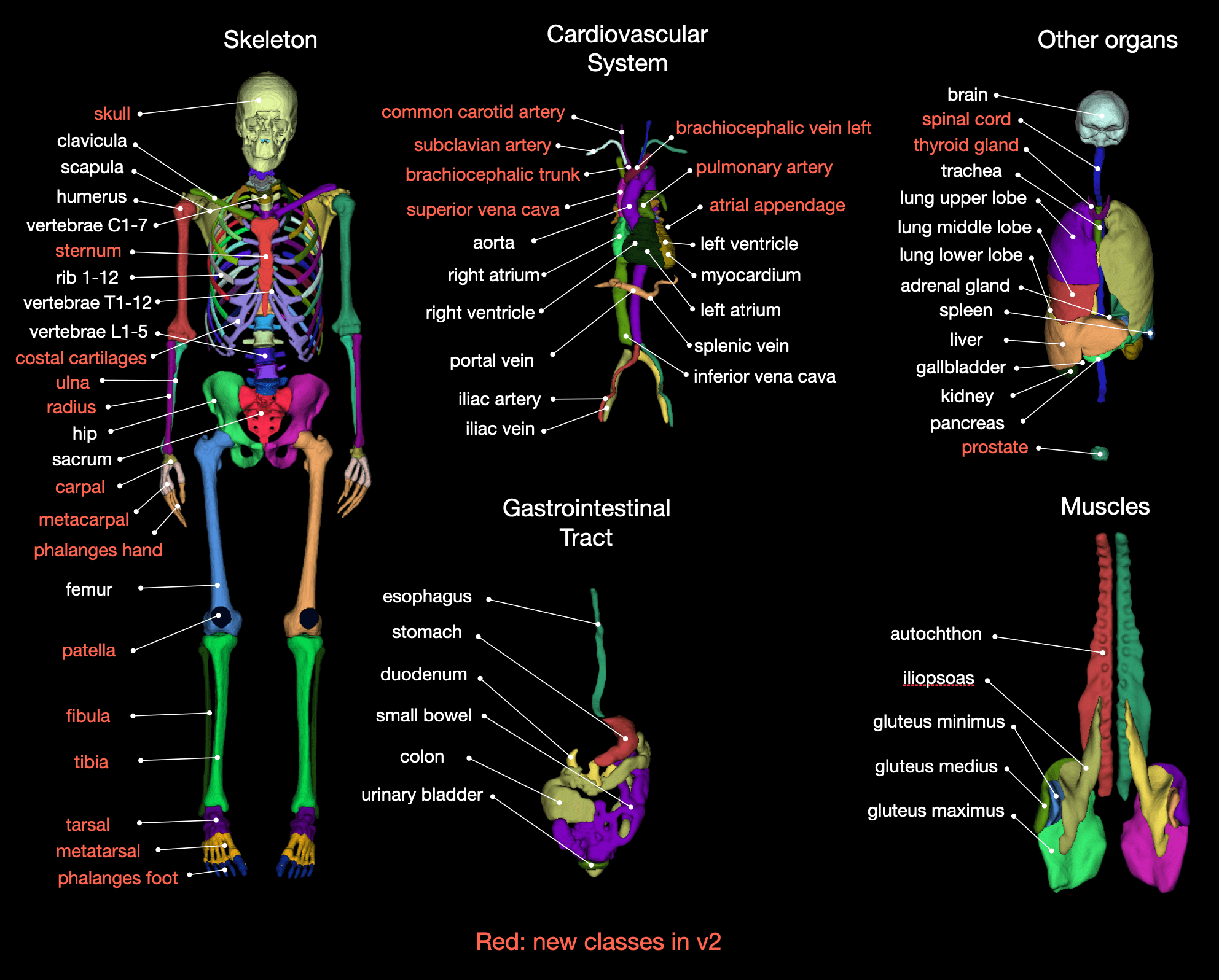 overview_classes_2.png