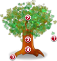 Tree-Assessment-113x120.png