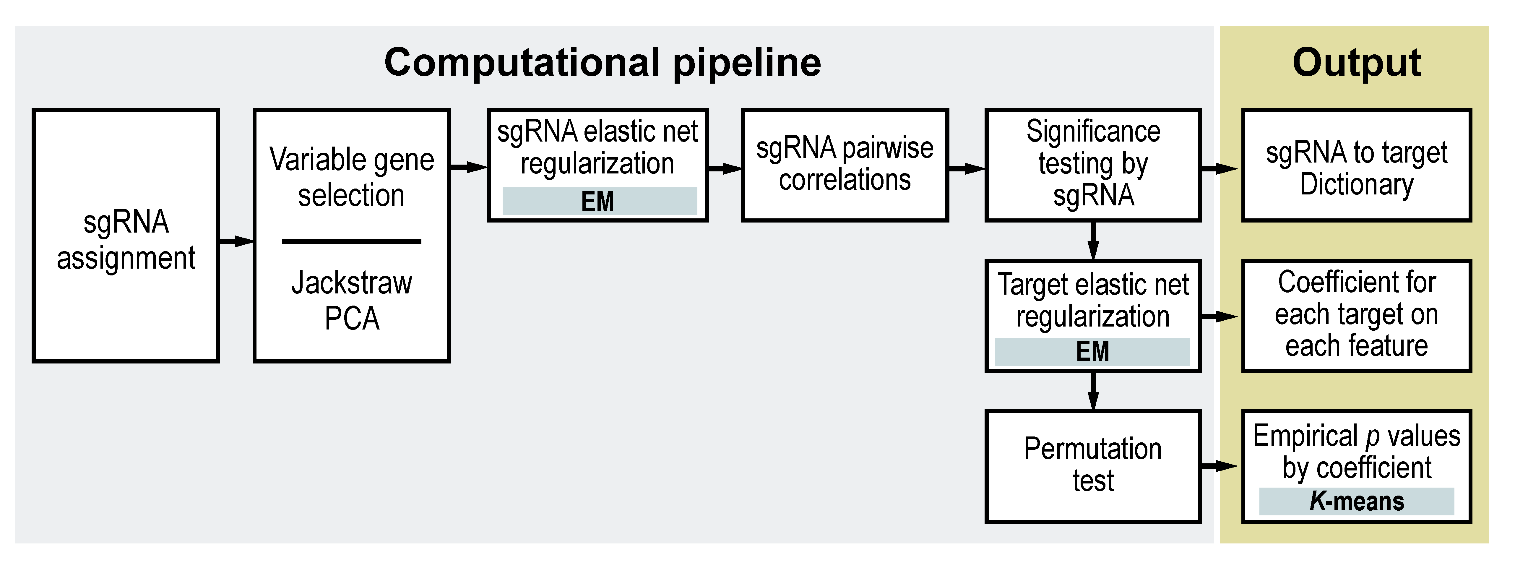 computational_pipeline.png