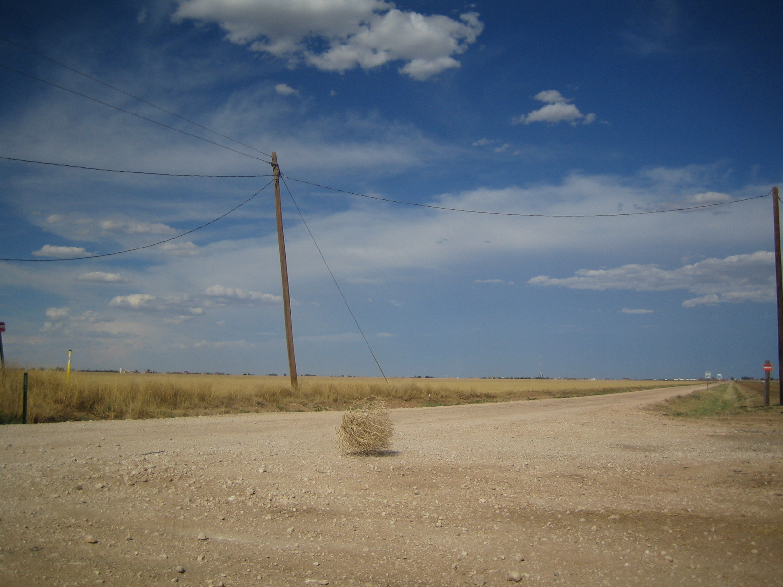 Tumbleweed rolling over a dirt road under a blue sky.