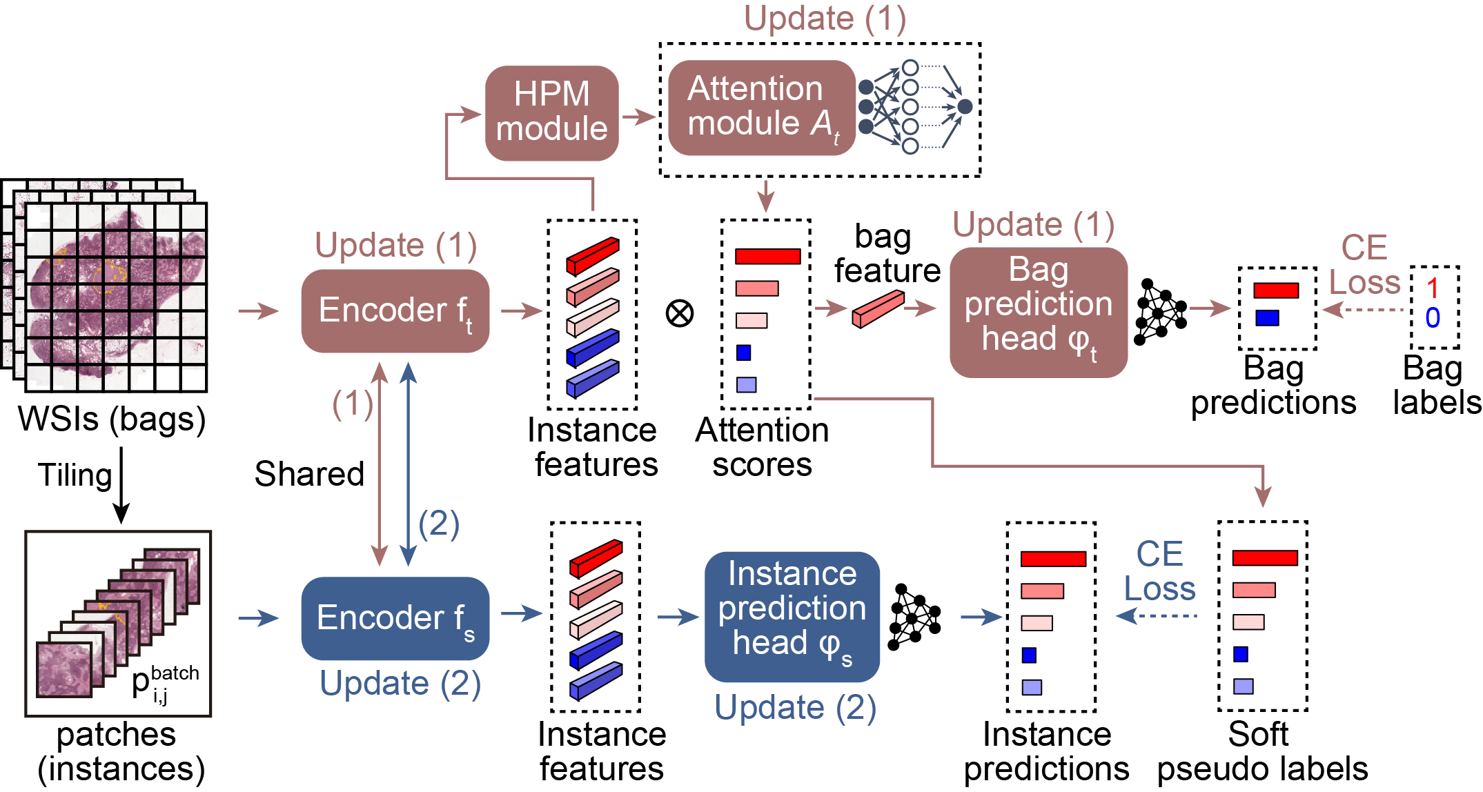 figure3.jpg