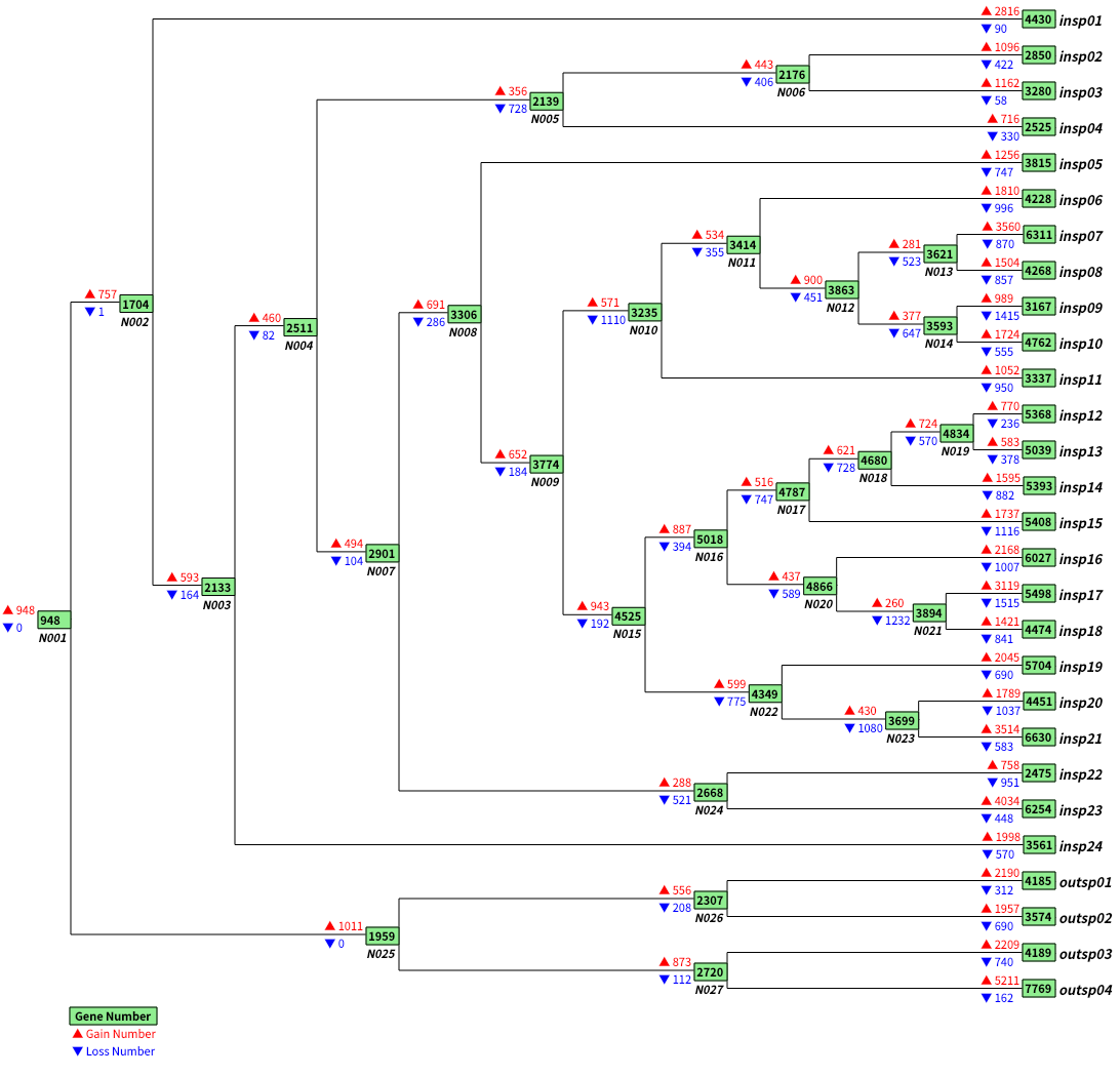 gain_loss_map_plot_01.png